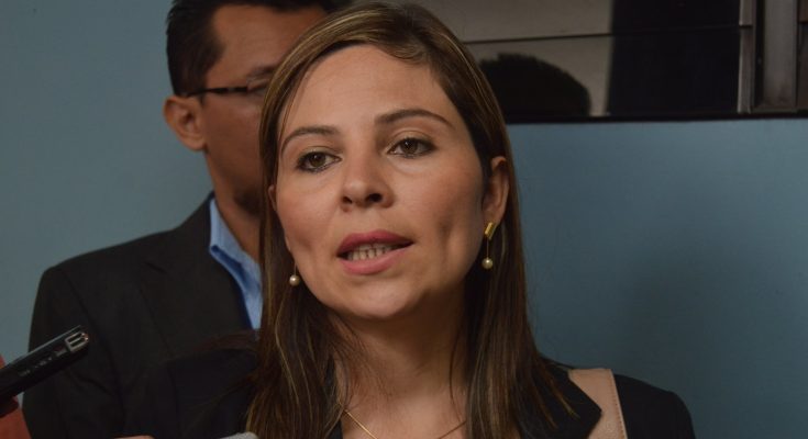 Denuncian a abogada por mentir ante juez para llevar a su hija a Estados Unidos denuncian-a-abogada-por-mentir-ante-juez-para-llevar-a-su-hija-a-estados-unidos
